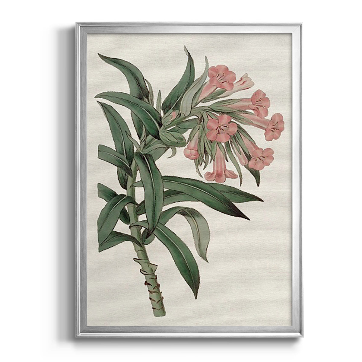 Pink Floral Mix VI - Modern Framed Canvas Print