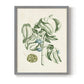 Buchoz Tropicals V - Restickable Framed Art Print