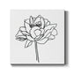 Peony Contour II - Canvas Art Print