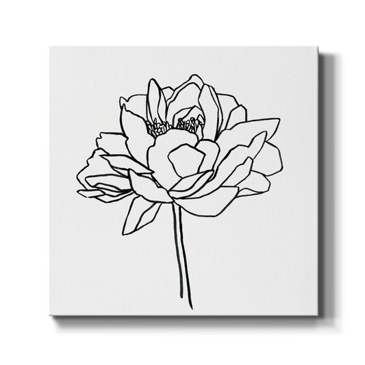 Peony Contour II - Canvas Art Print