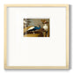 Golden Peacock v - Double Matboard Framed Print