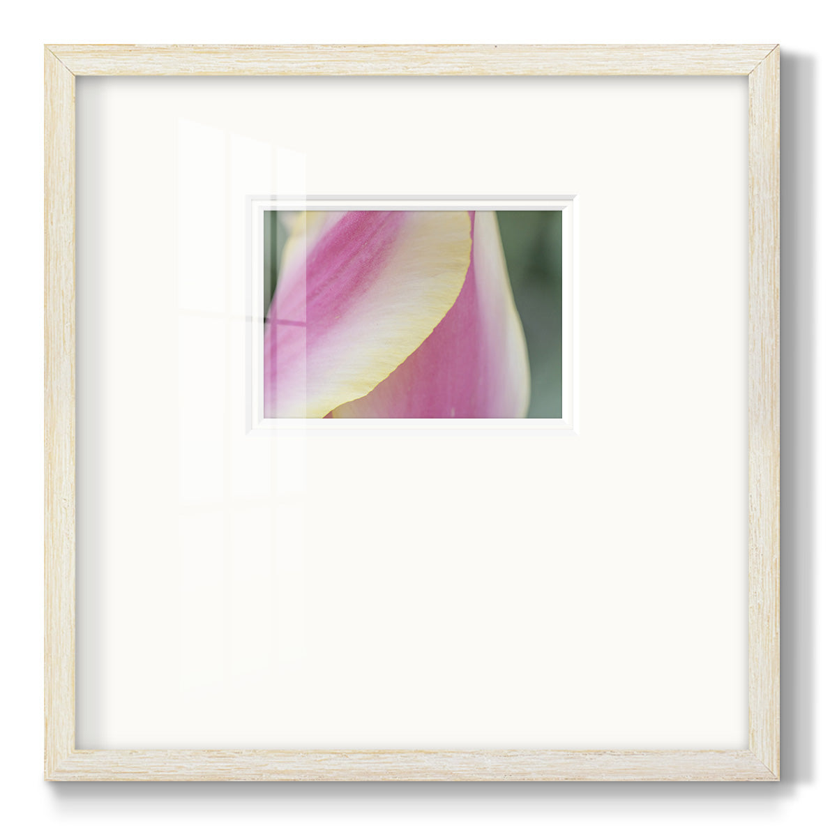 Delicate- Premium Framed Print Double Matboard