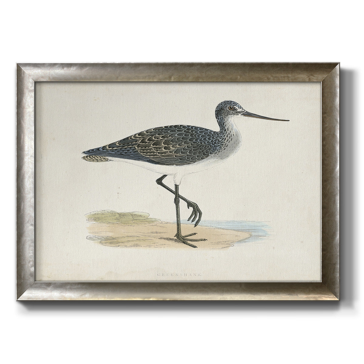 Morris Sandpipers III Premium Framed Canvas- Ready to Hang