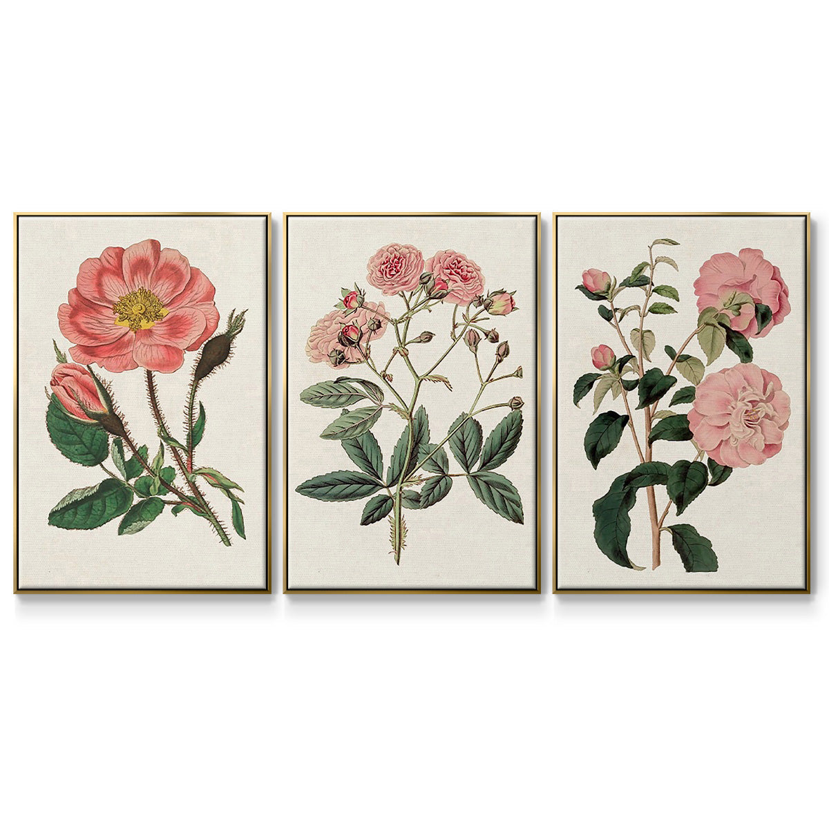 Pink Floral Mix IV - Framed Premium Gallery Wrapped Canvas L Frame 3 Piece Set - Ready to Hang