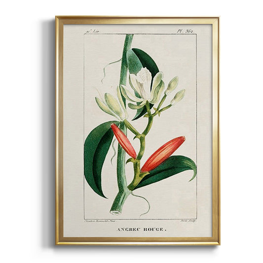 Turpin Tropical Botanicals IX - Modern Framed Canvas Print