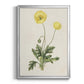 Flowers of the Seasons XII - Modern Framed Canvas Print