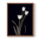 Tulip Pose I - Restickable Framed Art Print