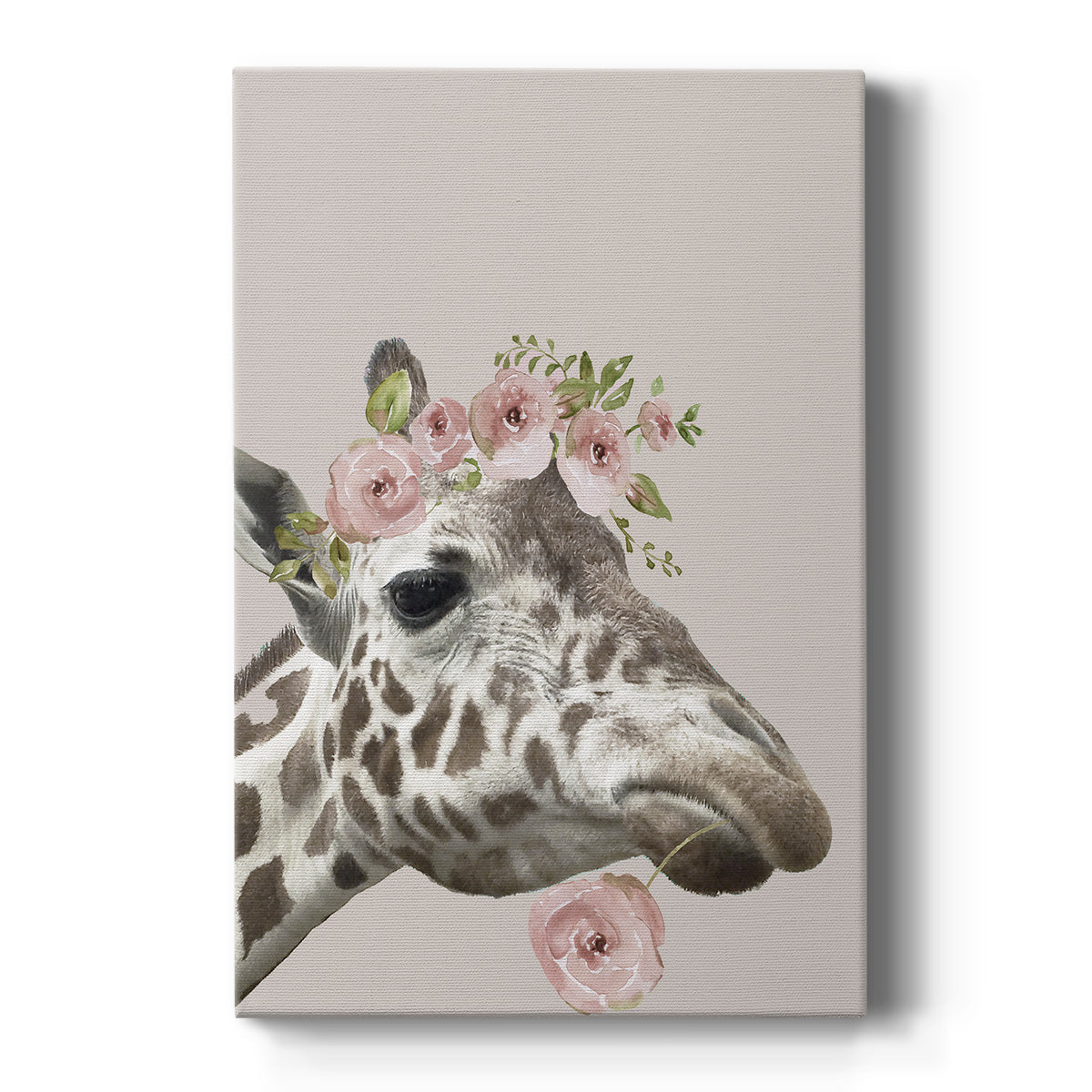 Peek A Boo Giraffe II Premium Gallery Wrapped Canvas - Ready to Hang