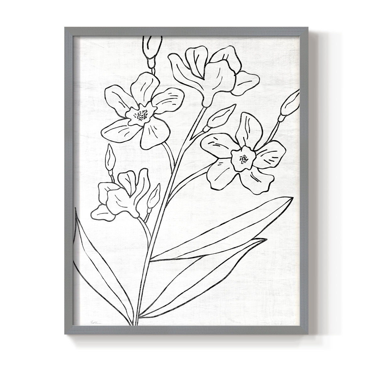 Botanical Sketch I - Restickable Framed Art Print
