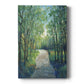 Golden Light Pathways I - Canvas Art Print