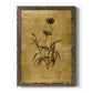 Gold Sketch Botanical I - Barnwood Framed Canvas Print