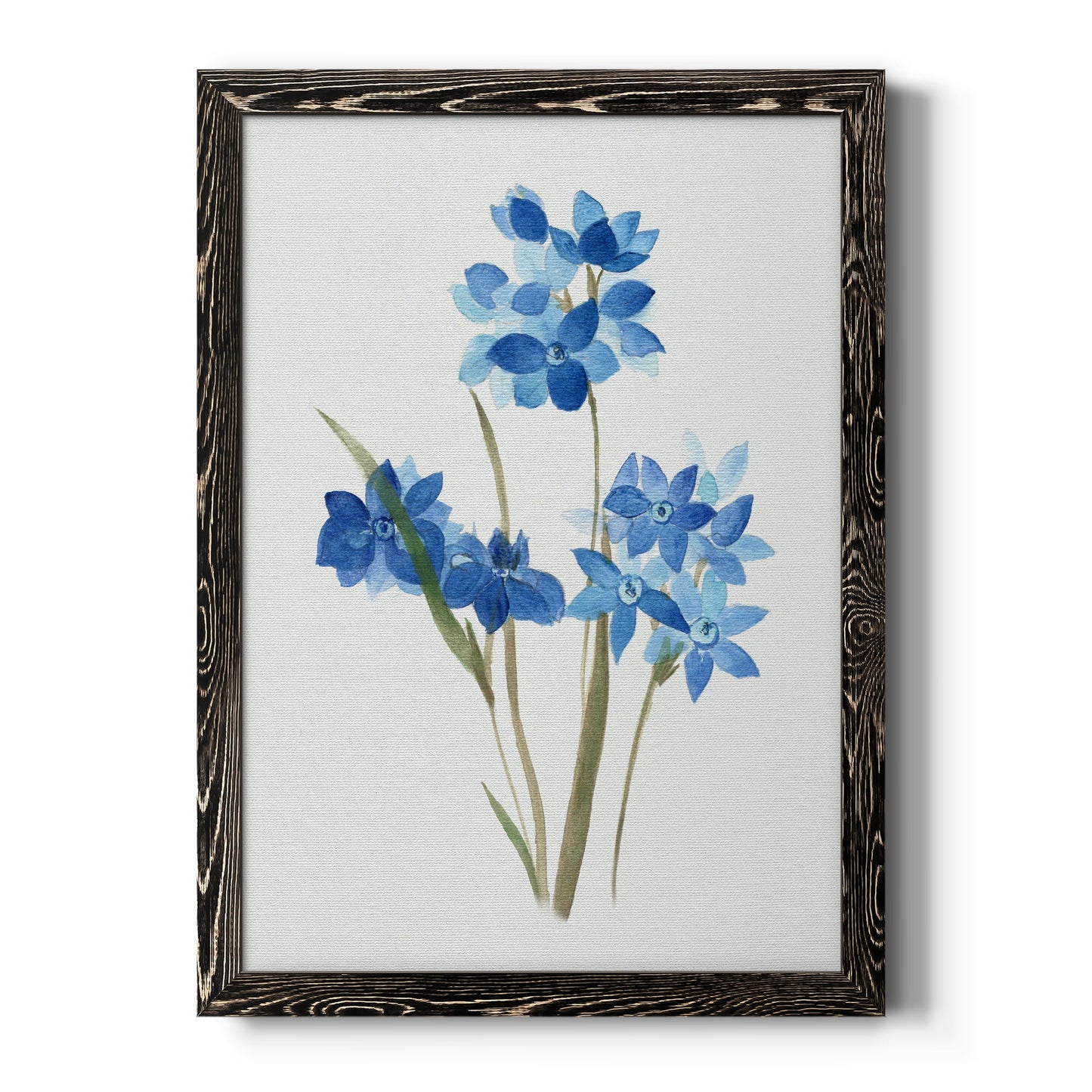 Blue Blossom Botanical I - Barnwood Framed Canvas Print
