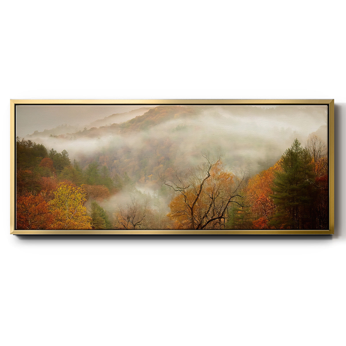 Photography Study Autumn Mist - Floater Framed Canvas Print