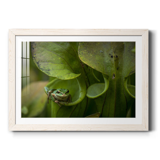 Arboreal Refuge - Barnwood Framed Art Print