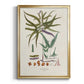 Botanical Society Ferns VIII - Modern Framed Canvas Print