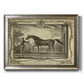 Distinguished Horses IV Premium Framed Canvas- Ready to Hang