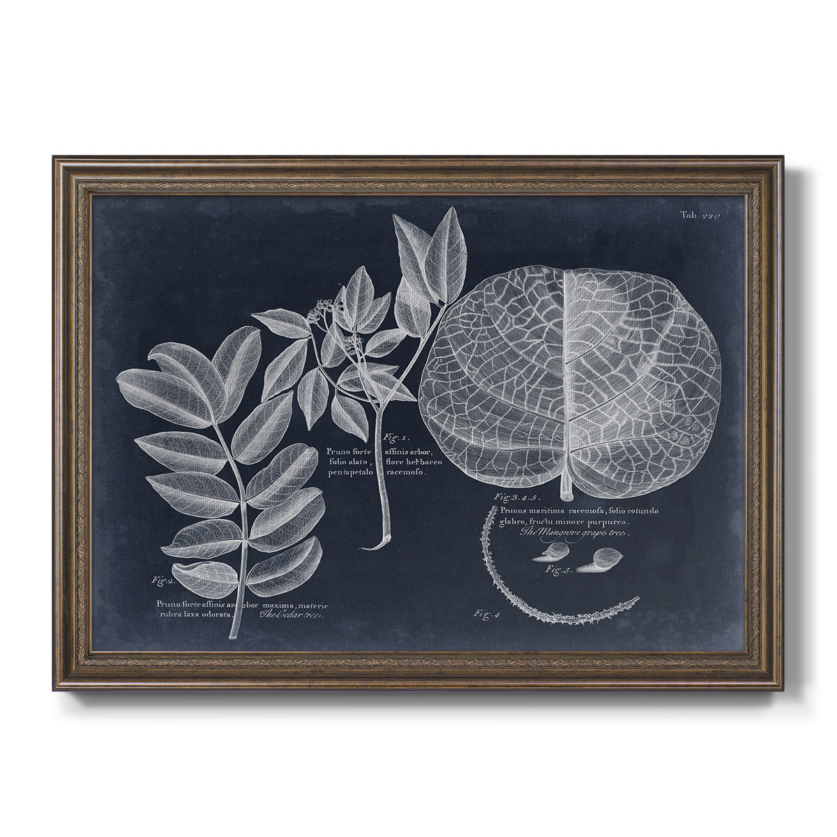 Foliage on Navy I Premium Framed Canvas- Ready to Hang