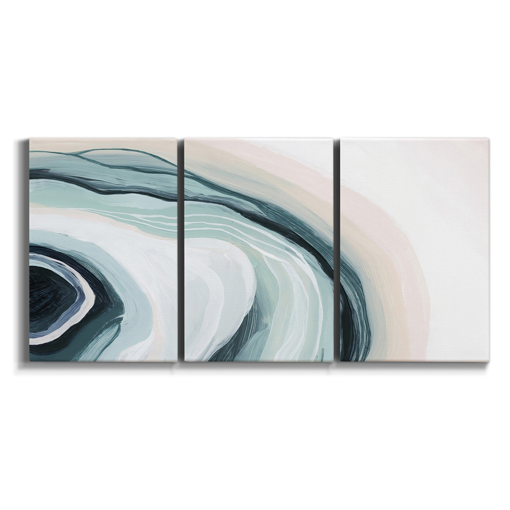 Three-panel canvas wall art featuring abstract coastal shell forms on white background.