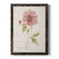 Soft Peony - Barnwood Framed Canvas Print