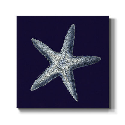 Indigo Shells IV - Canvas Art Print