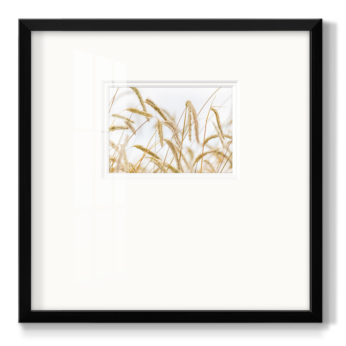 Wheat- Premium Framed Print Double Matboard