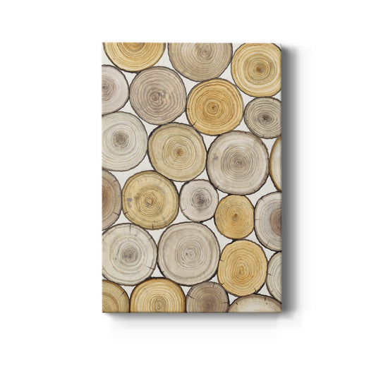 Tree Ring Study II Premium Gallery Wrapped Canvas - Ready to Hang