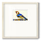 Blue Gold Finch Premium Framed Print Double Matboard