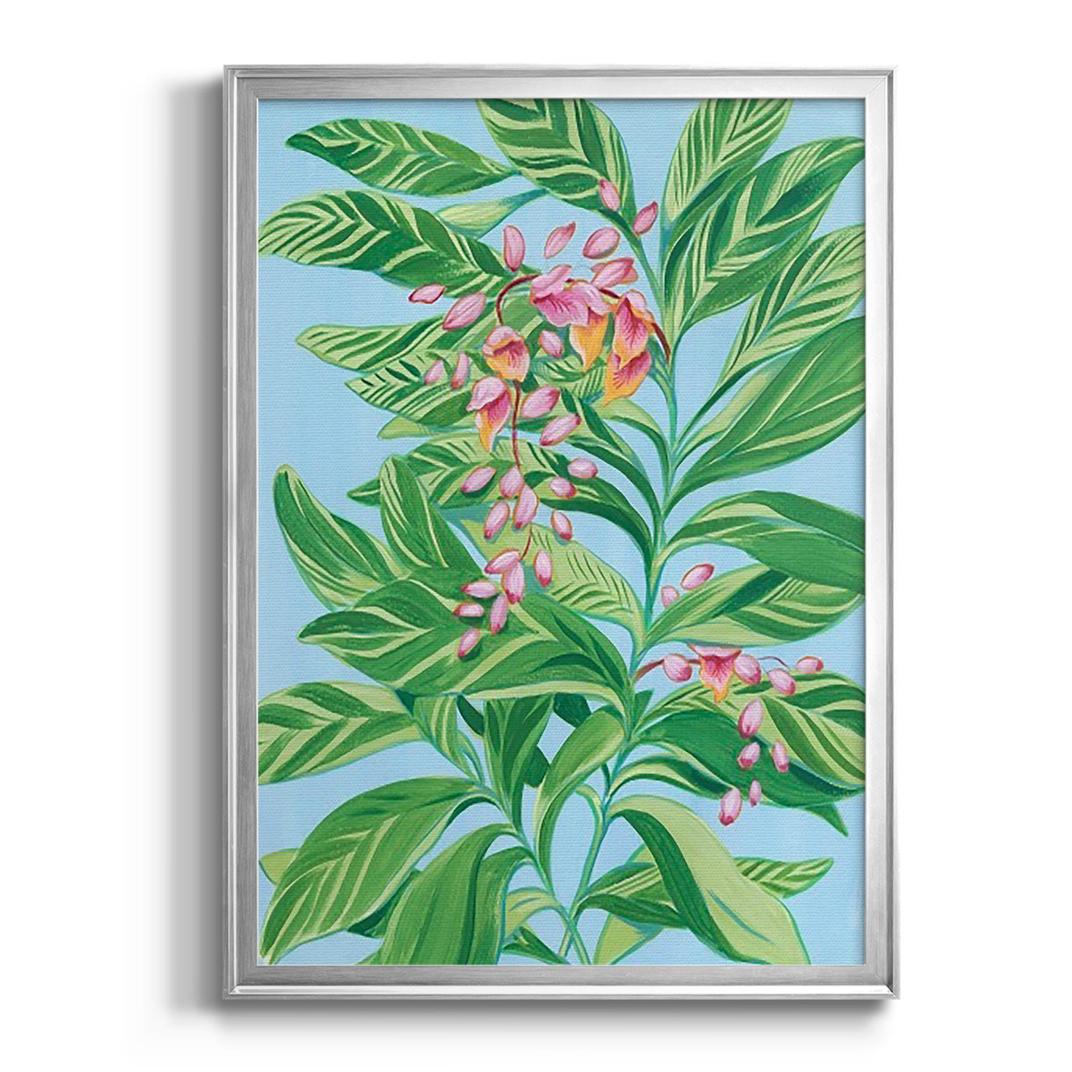 Tropical Shell Ginger II - Modern Framed Canvas Print