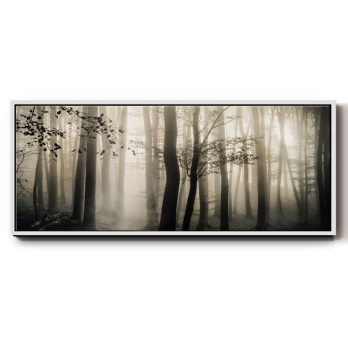 Light is Always There - Floater Framed Canvas Print