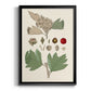 Leaves & Berries IV - Modern Framed Canvas Print