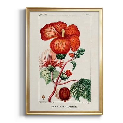 Turpin Tropical Botanicals VII - Modern Framed Canvas Print