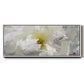 Breathless II - Floater Framed Canvas Print