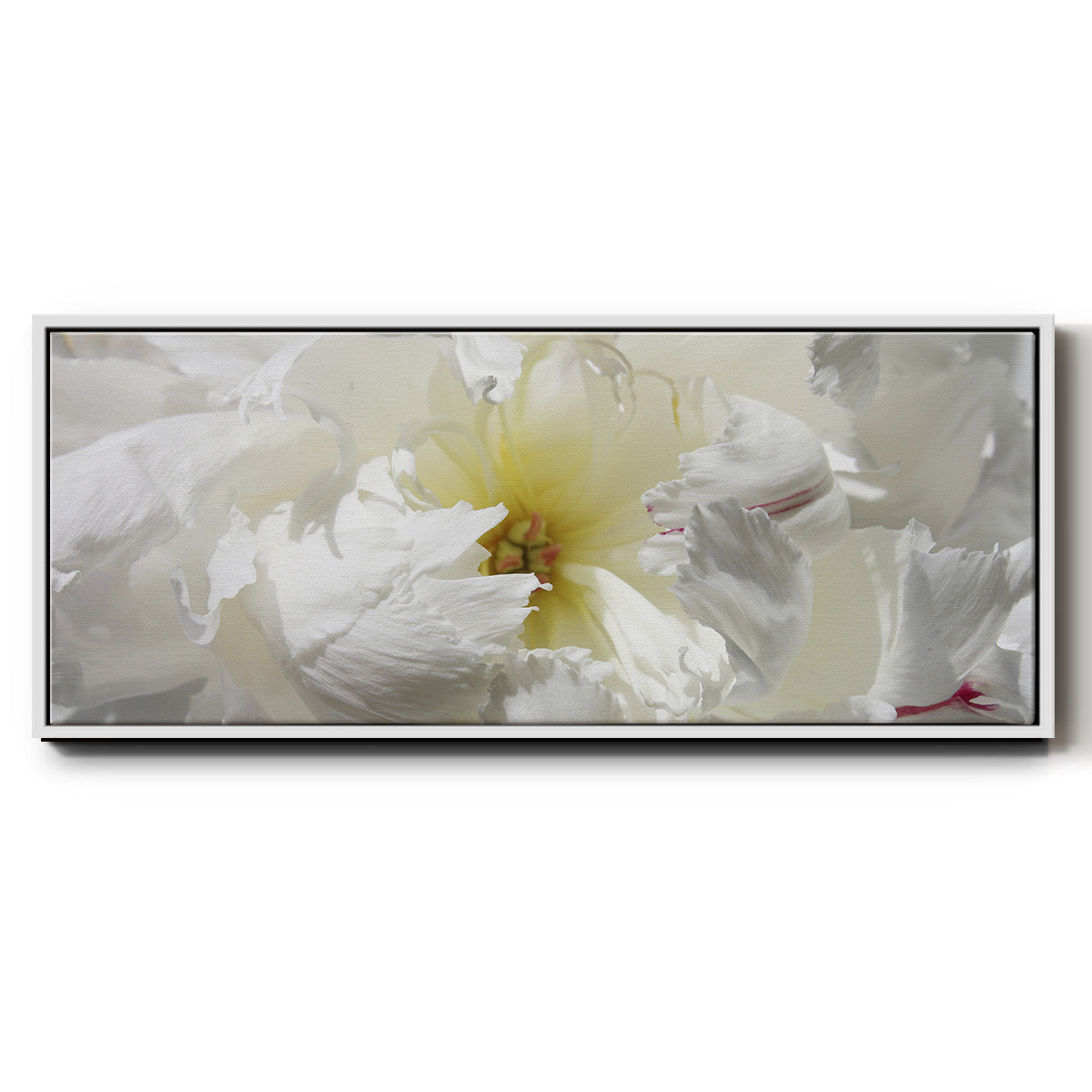 Breathless II - Floater Framed Canvas Print