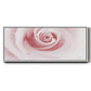 Rose Embrace - Floater Framed Canvas Print