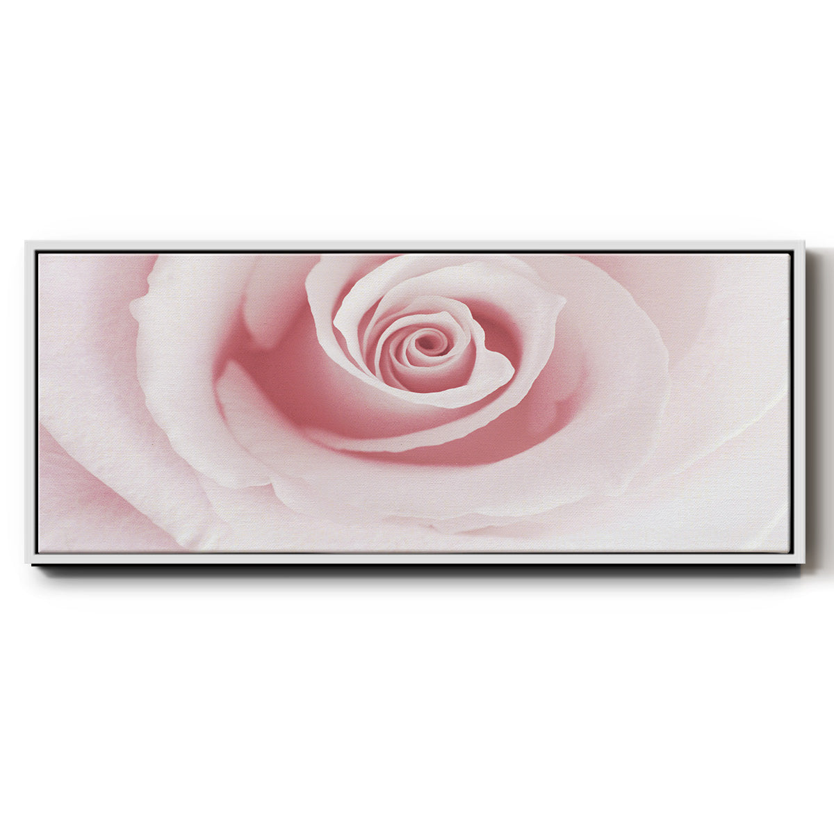 Rose Embrace - Floater Framed Canvas Print
