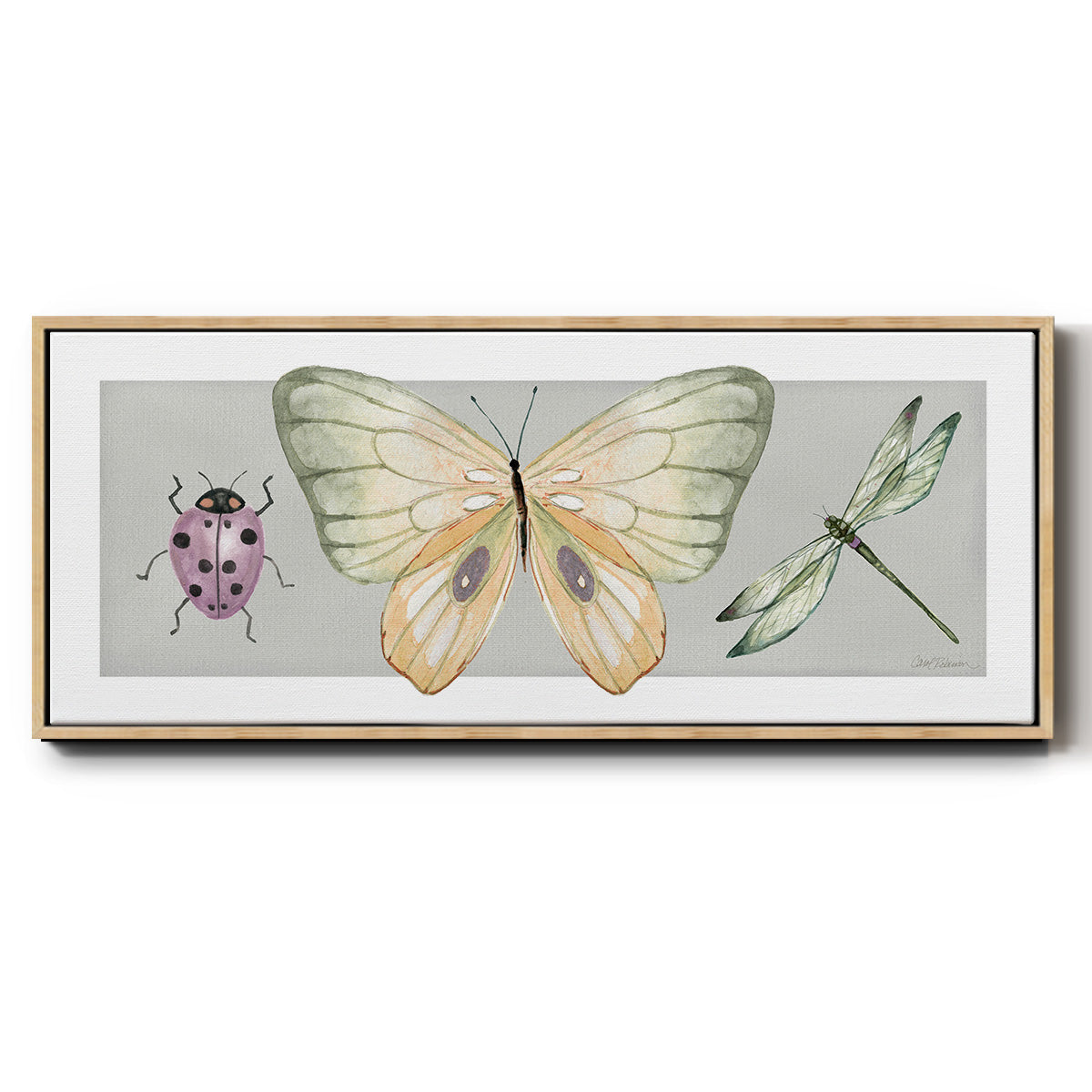 Pretty Insects I - Floater Framed Canvas Print