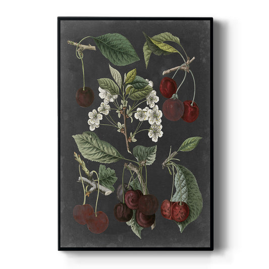 Orchard Varieties I Premium Gallery Wrapped Canvas - Ready to Hang