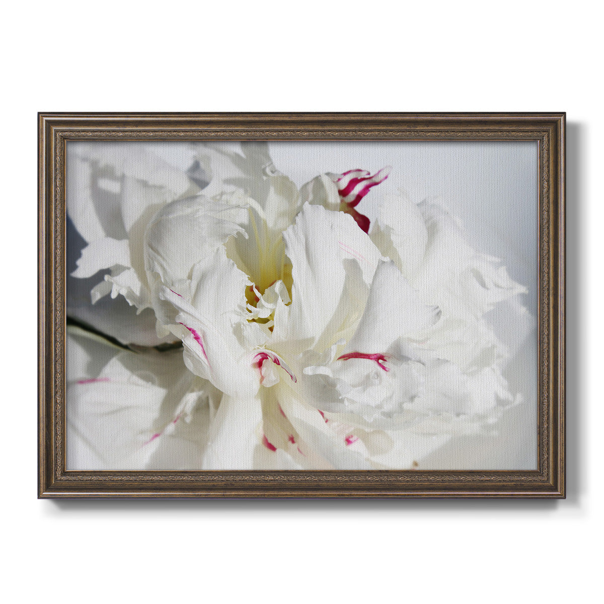 Breathless I Premium Framed Canvas- Ready to Hang