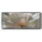 Lily Light - Floater Framed Canvas Print