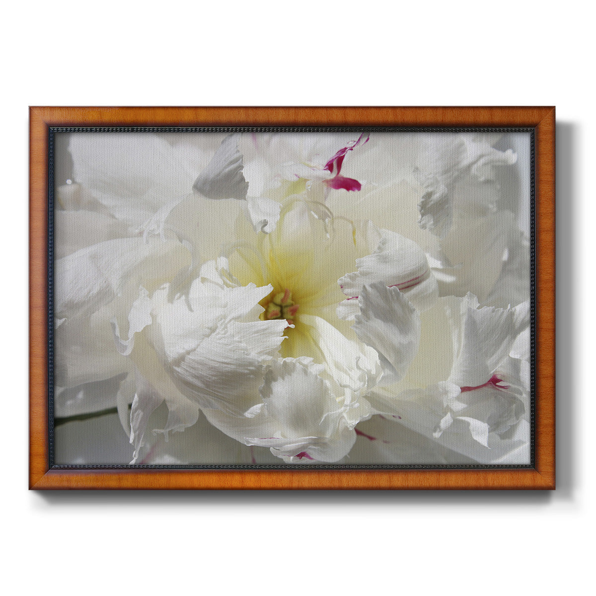 Breathless II Premium Framed Canvas- Ready to Hang