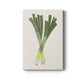 Organic Veg II Premium Gallery Wrapped Canvas - Ready to Hang