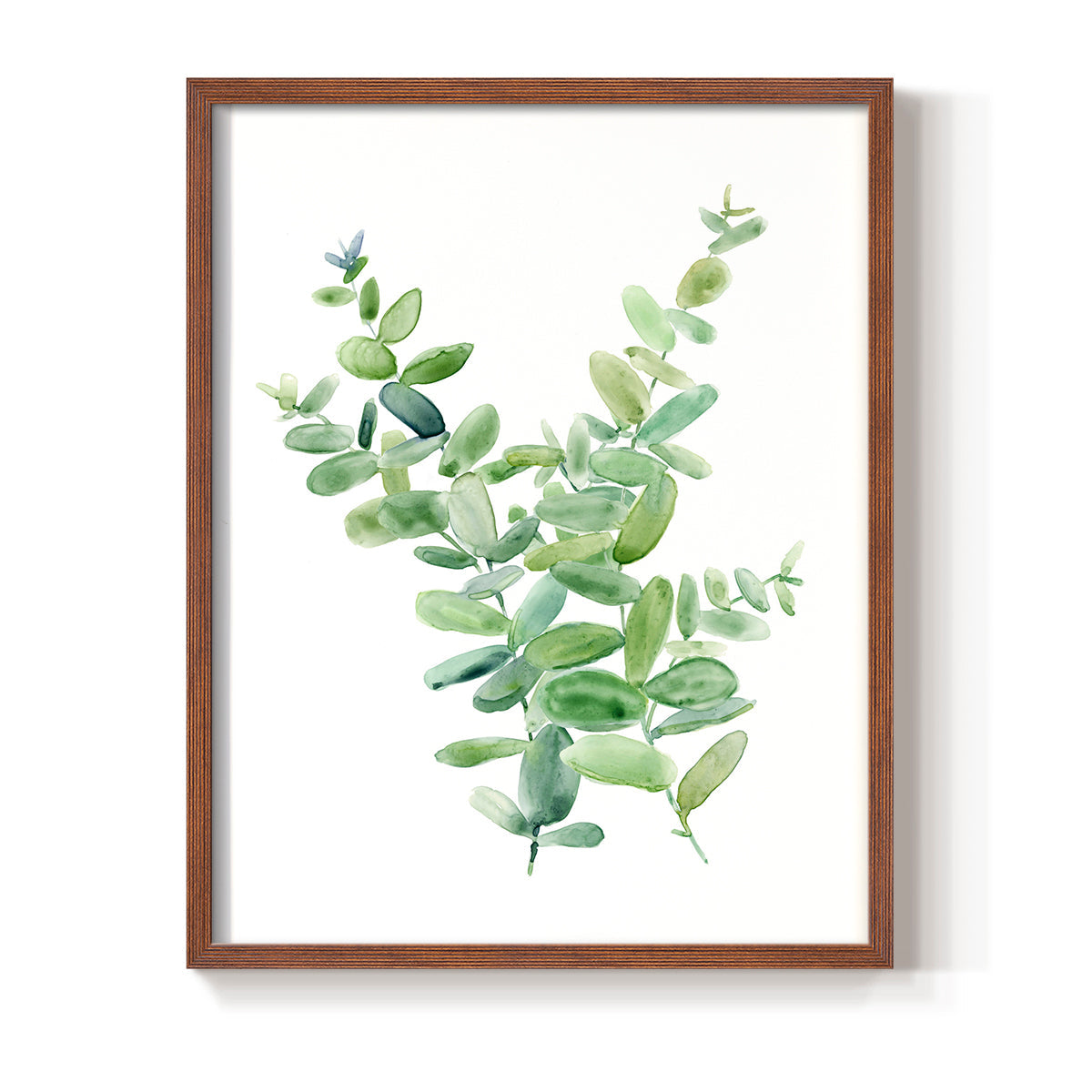 Eucalyptus III - Restickable Framed Art Print