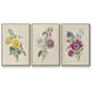 Antique Garden Bouquet I - Framed Premium Gallery Wrapped Canvas L Frame 3 Piece Set - Ready to Hang