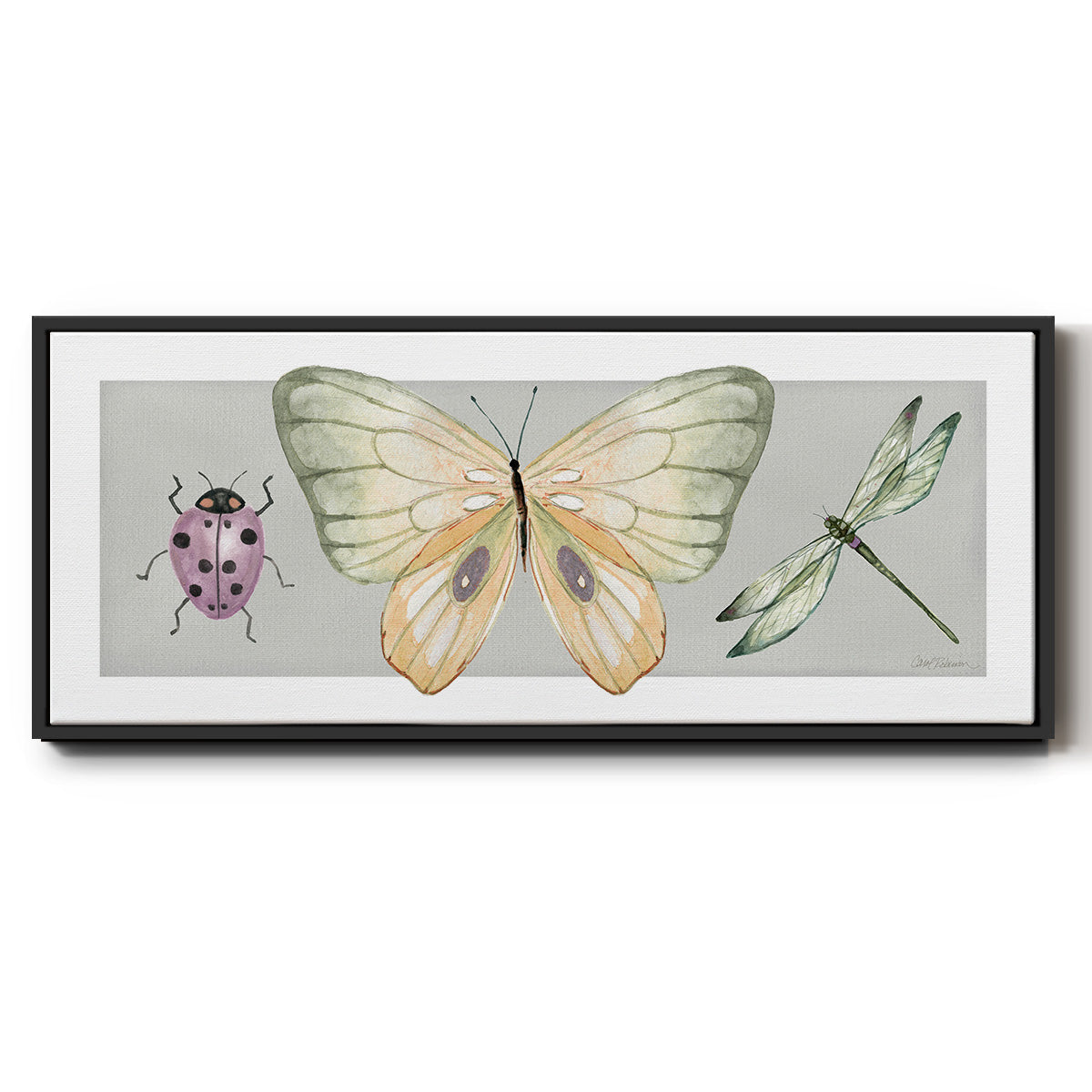 Pretty Insects I - Floater Framed Canvas Print