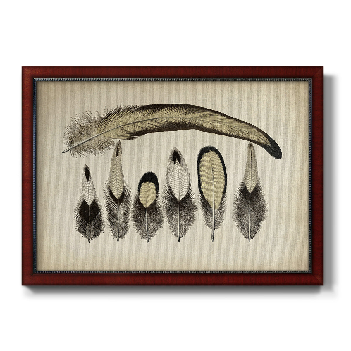 Vintage Feathers VII Premium Framed Canvas- Ready to Hang