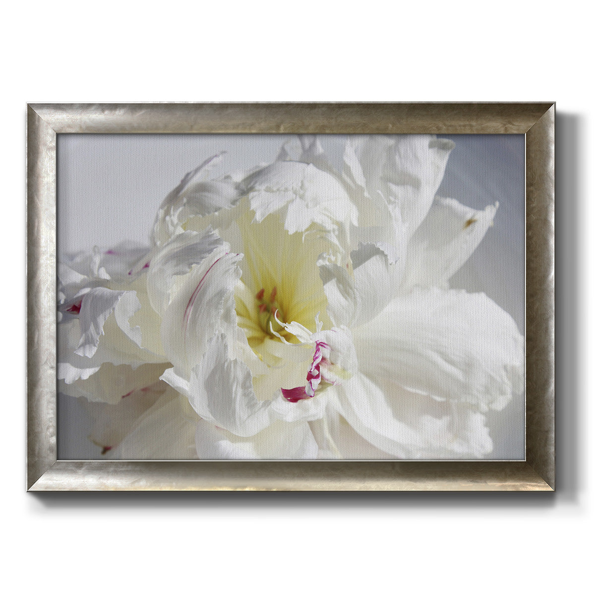 Breathless IV - Ornate Framed Canvas Print