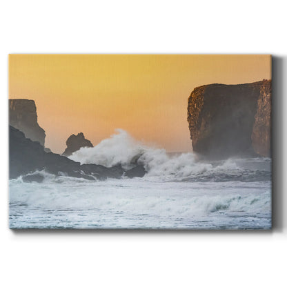 Spray - Canvas Art Print