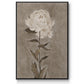 Pretty as a Peony I  -  Framed Canvas Print