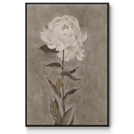 Pretty as a Peony I  -  Framed Canvas Print