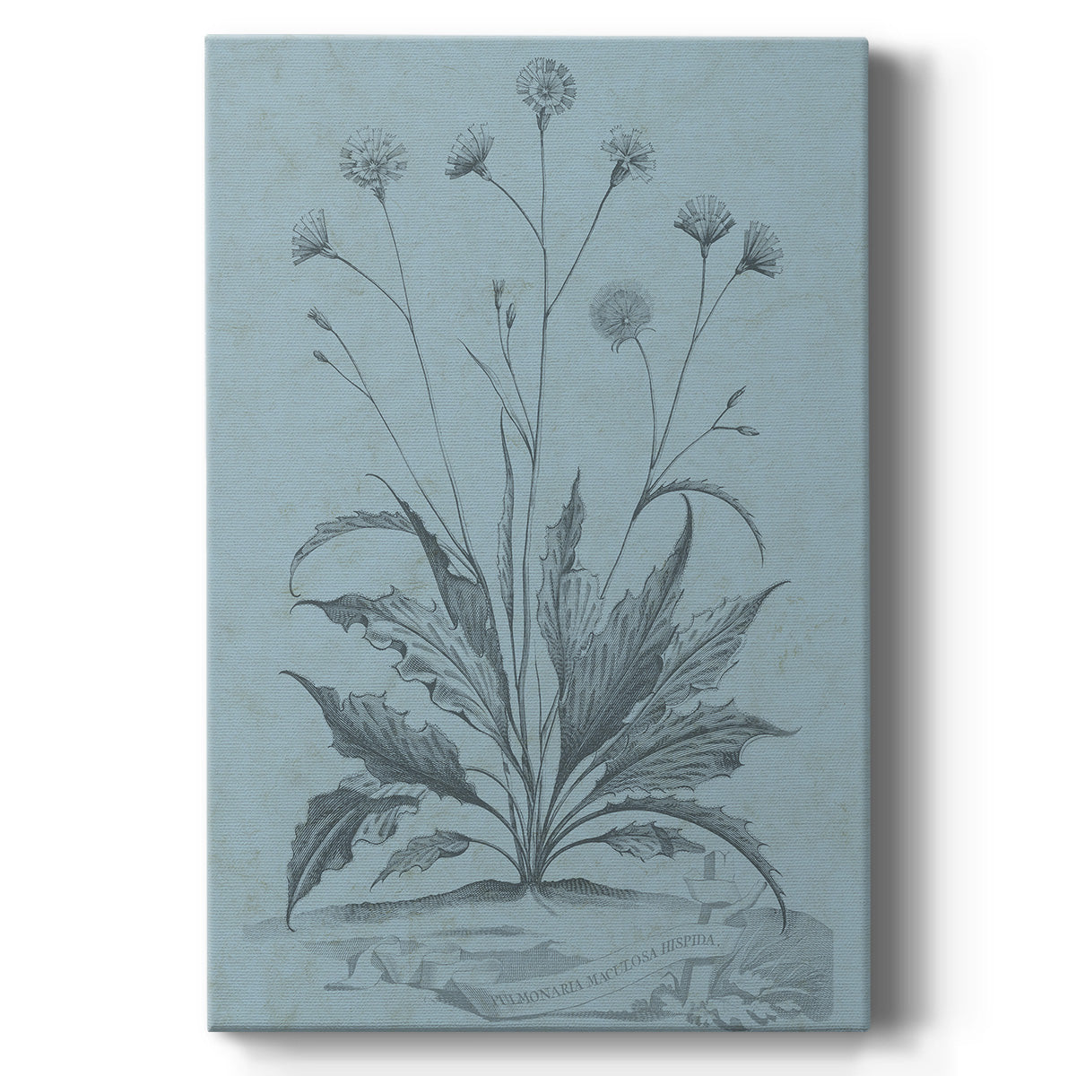 Botanical on Teal IV Premium Gallery Wrapped Canvas - Ready to Hang